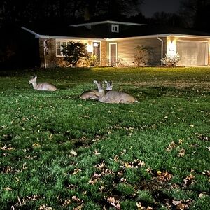 Meet your Posher, Brandilynn